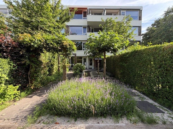 Te huur: Rotterdam