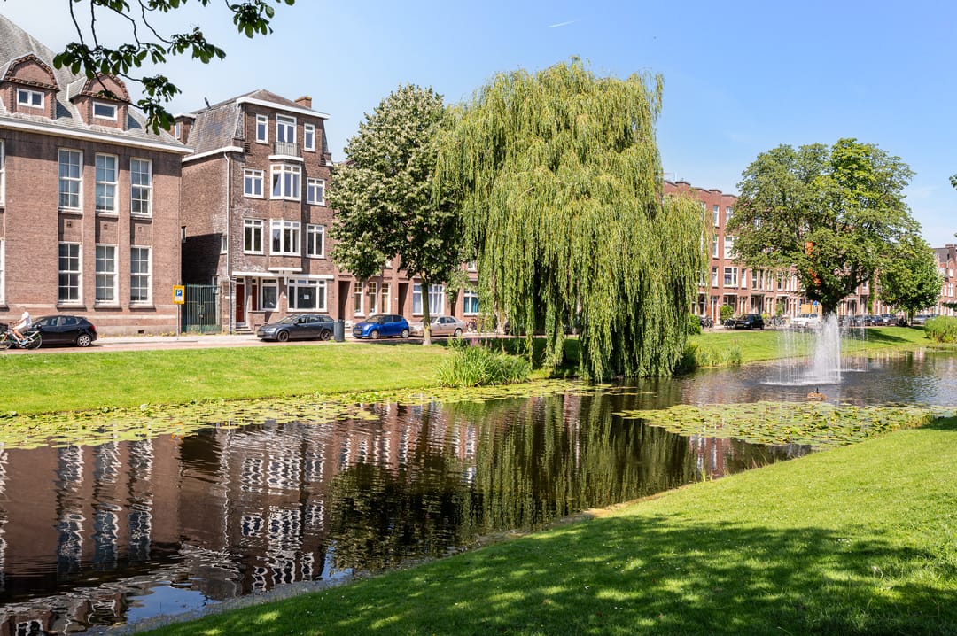 For rent: Rotterdam