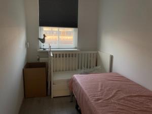 For rent: Haarlem