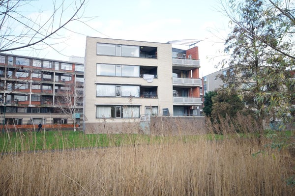 For rent: Leiden