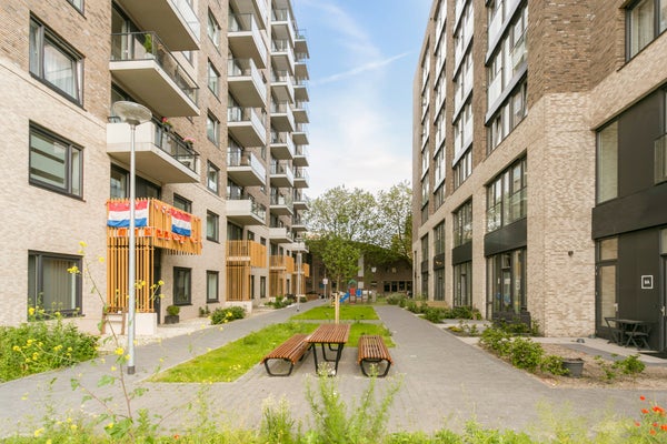 For rent: Den Haag