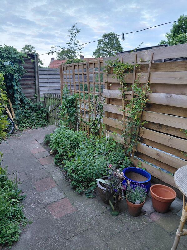 For rent: Arnhem