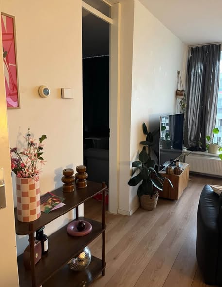 For rent: Amsterdam