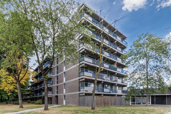 Te huur: Eindhoven / €1175,00 p.m. / 50,00m2