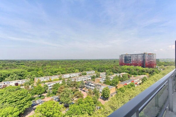 For rent: Zeist