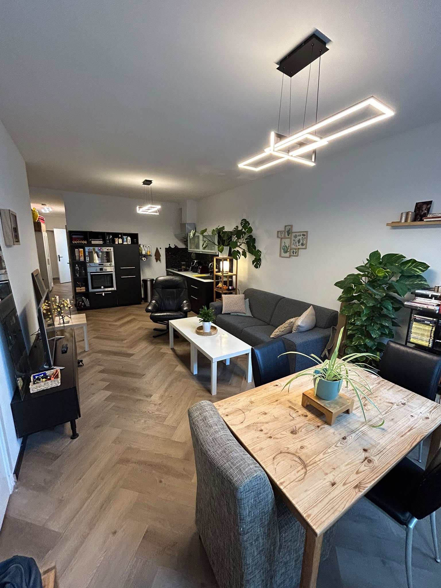 For rent: Haarlem