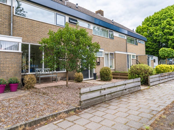 For rent: Nieuwe Pekela