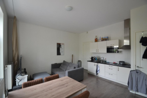 For rent: Den Haag
