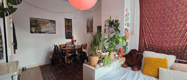 For rent:  Zwolle  / €416.00 p.m. / 15.00m2