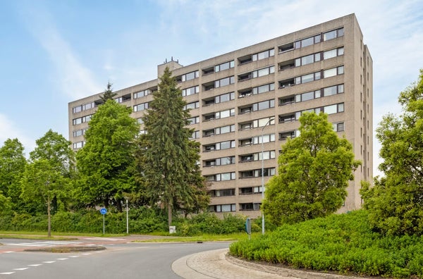 For rent: Eindhoven