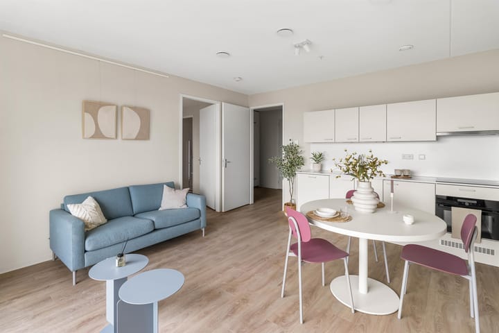 For rent: Amsterdam