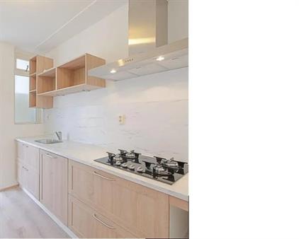 Te huur: Den Helder / €600,00 p.m. / 16,00m2