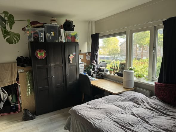 For rent: Groningen / €515.00 p.m. / 14.00m2