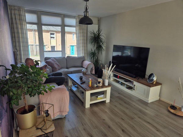 For rent: Haarlem