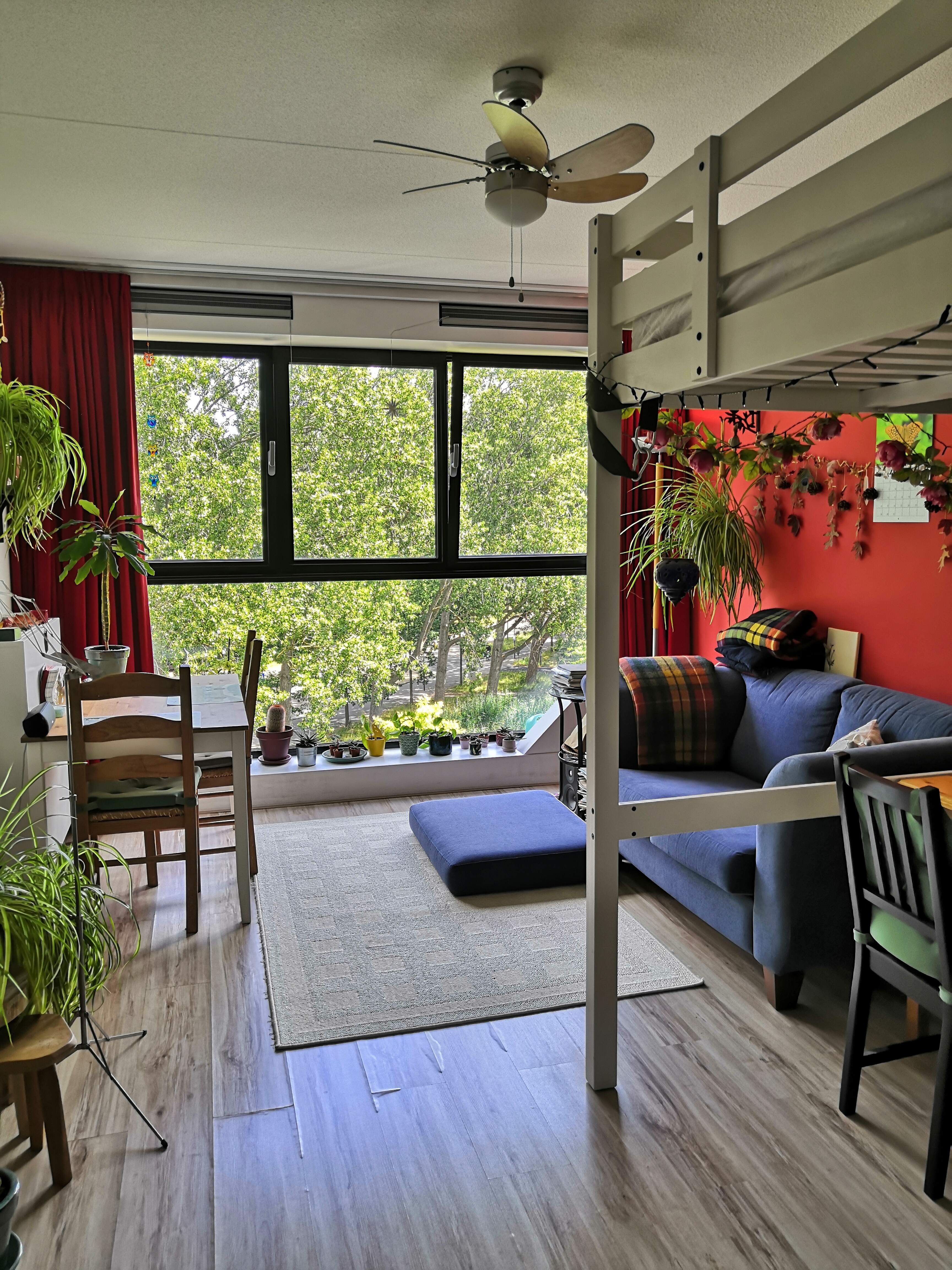 For rent: Leiden / €609 p.m. / 27m2