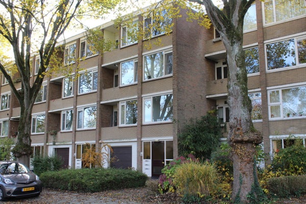 For rent: De Bilt