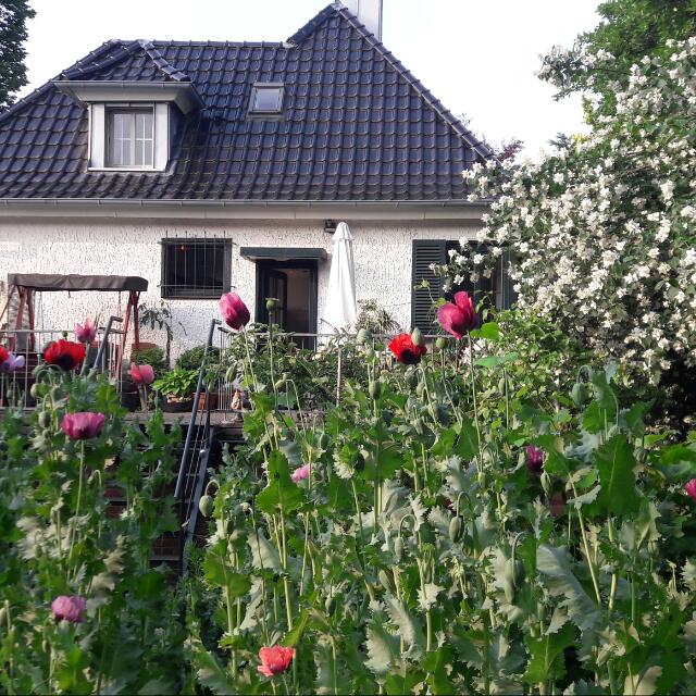 Te huur: Enschede / €395,00 p.m. / 25,00m2