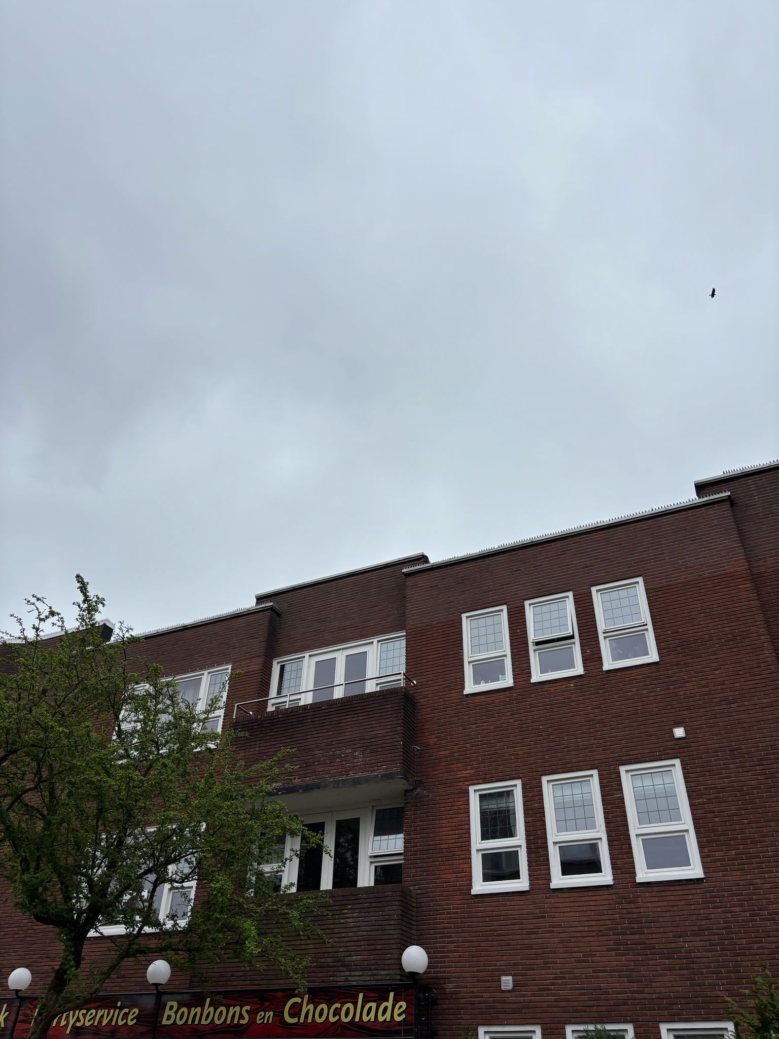 For rent: Groningen / €425.00 p.m. / 16.00m2