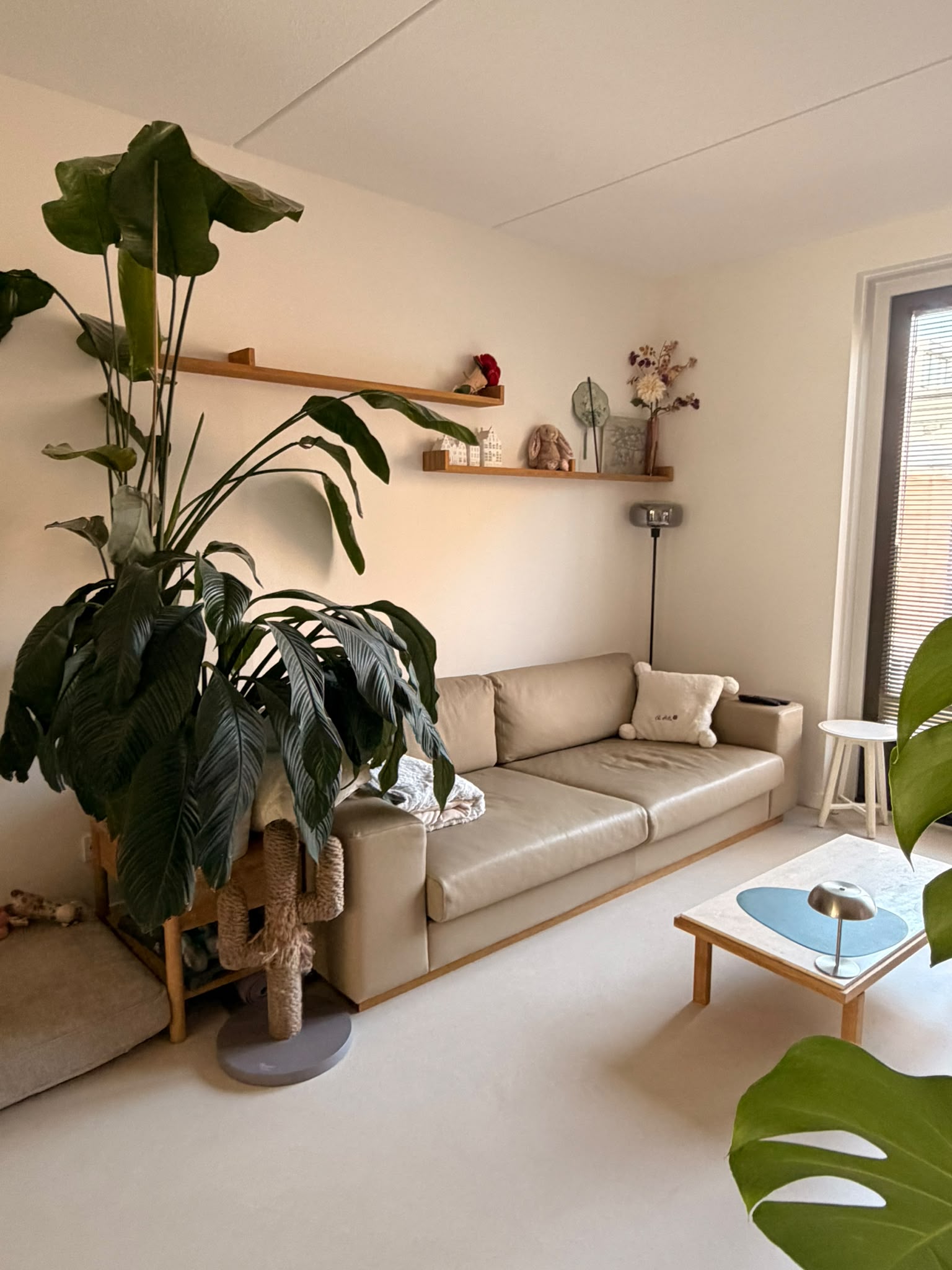 Te huur: Nieuwegein / €650 p.m. / 12m2