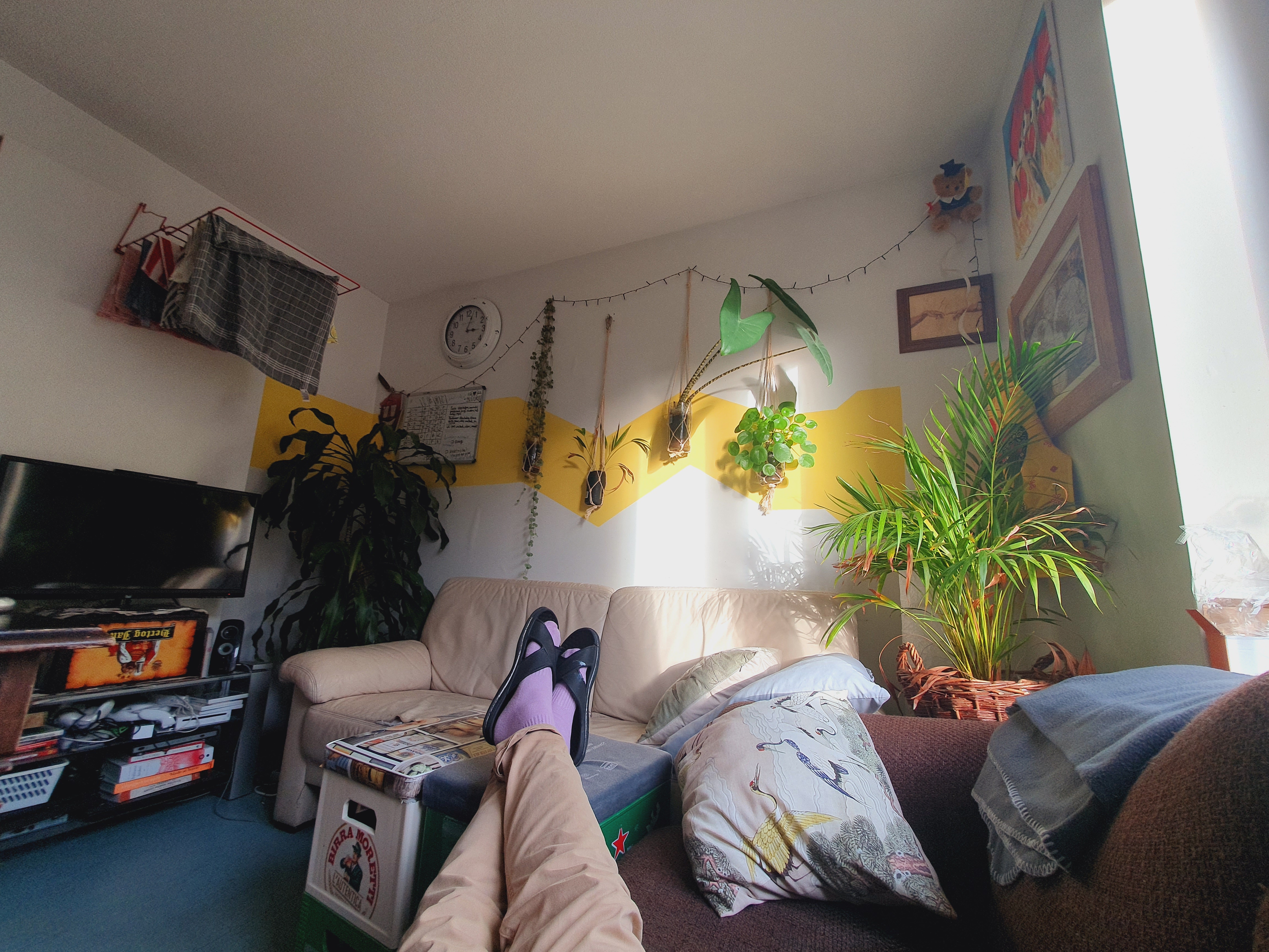 Te huur: Leiden / €457 p.m. / 14m2