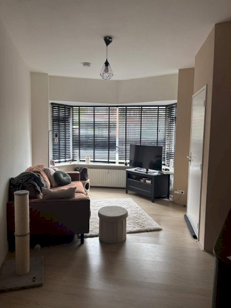 For rent: Groningen