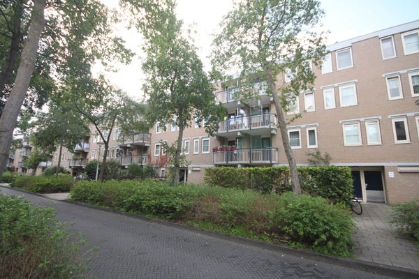 For rent: Amsterdam