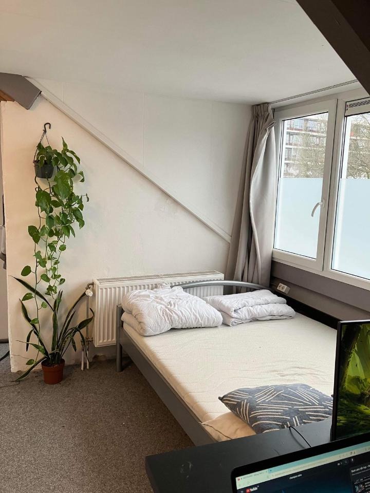 Te huur: Arnhem / €652,00 p.m. / 13,00m2