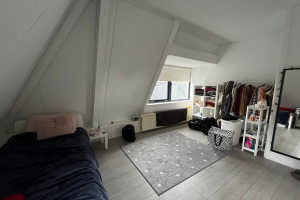 For rent: Groningen