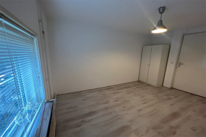 For rent: Eindhoven / €479 p.m. / 12m2