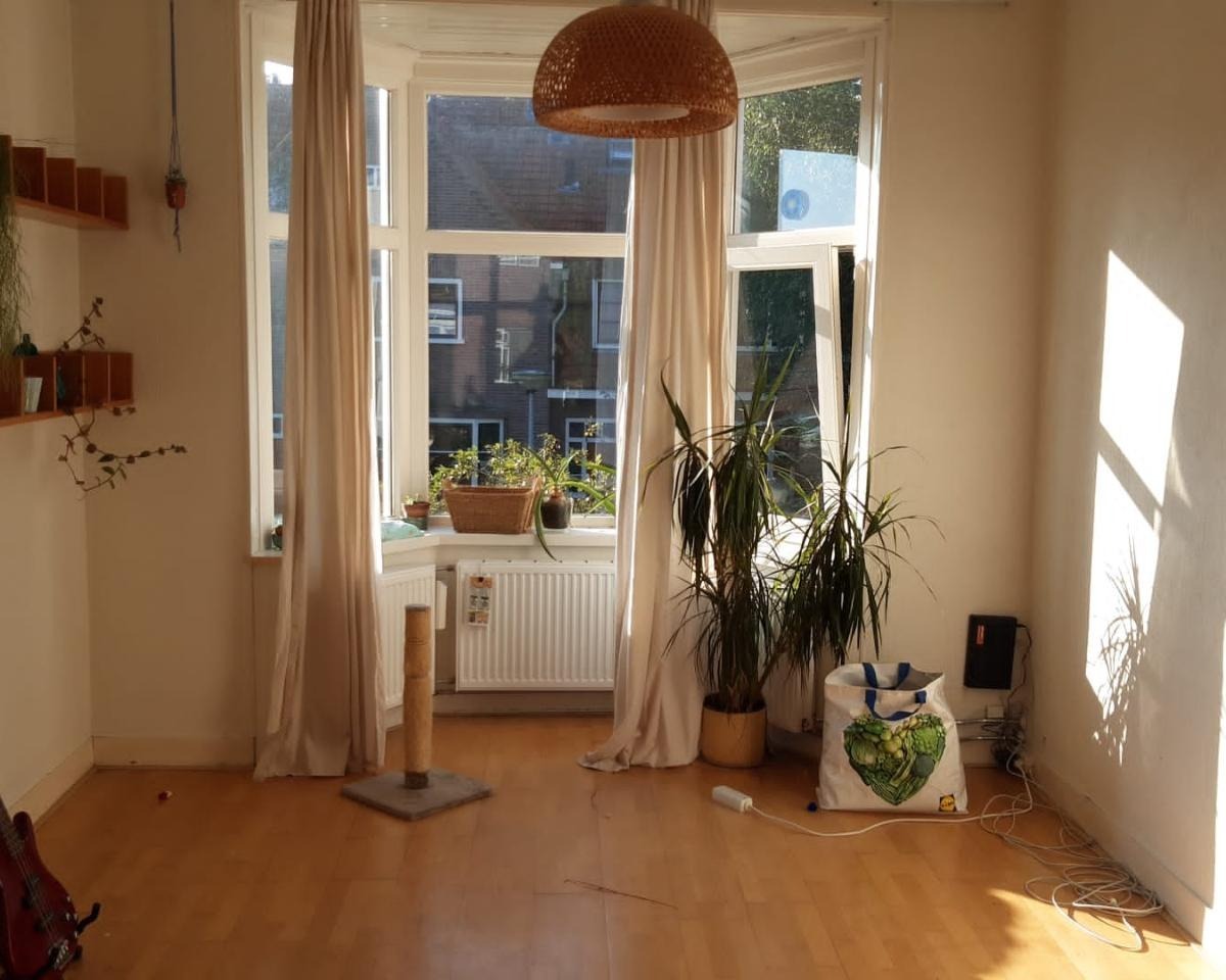 For rent: Groningen / €1200 p.m. / 70m2