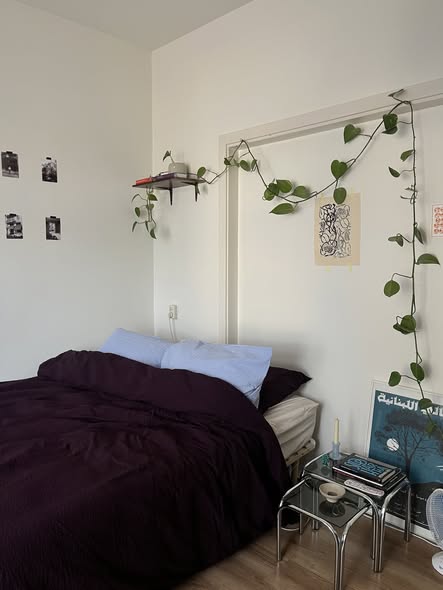 For rent: Amsterdam