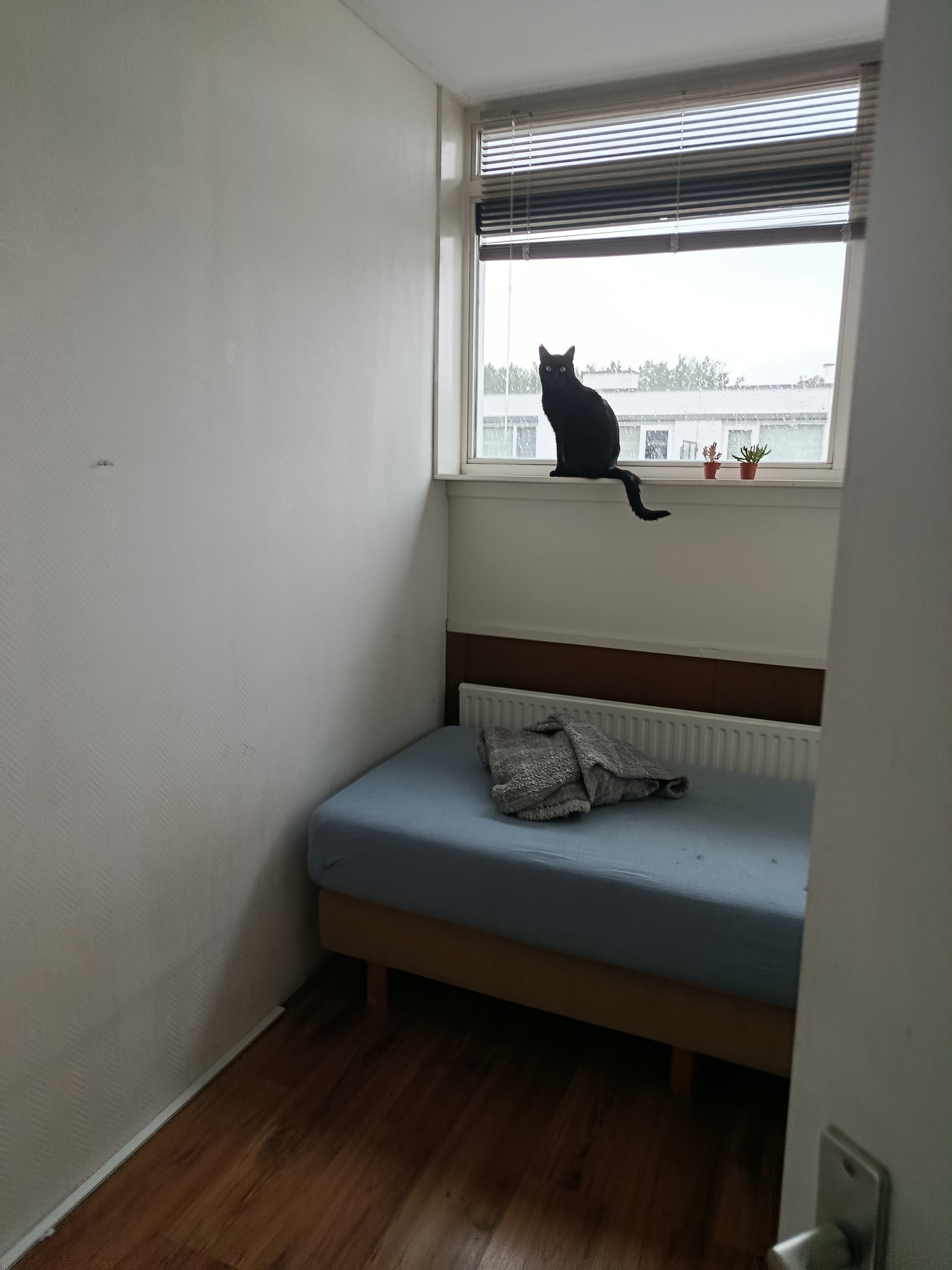 Te huur: Tilburg