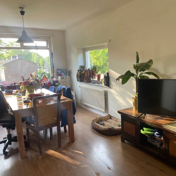 For rent: Haarlem