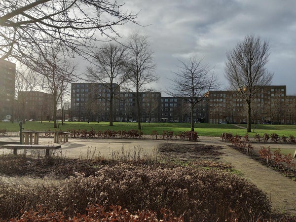 For rent: Amsterdam