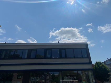 Te huur: Groningen / €315,00 p.m. / 10,00m2