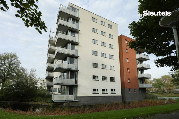 For rent: Leiden / €1168.00 p.m. / 60.00m2