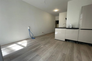 Te huur: Groningen / €1529 p.m. / 50m2