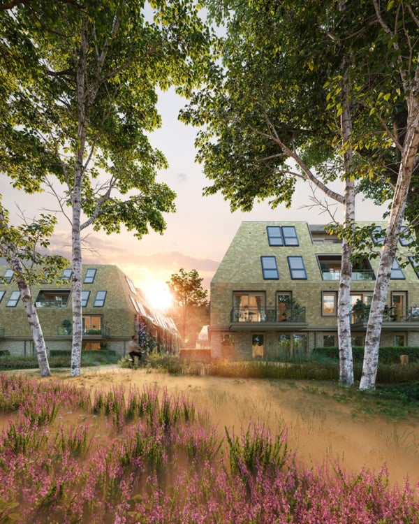 Te huur: Huizen