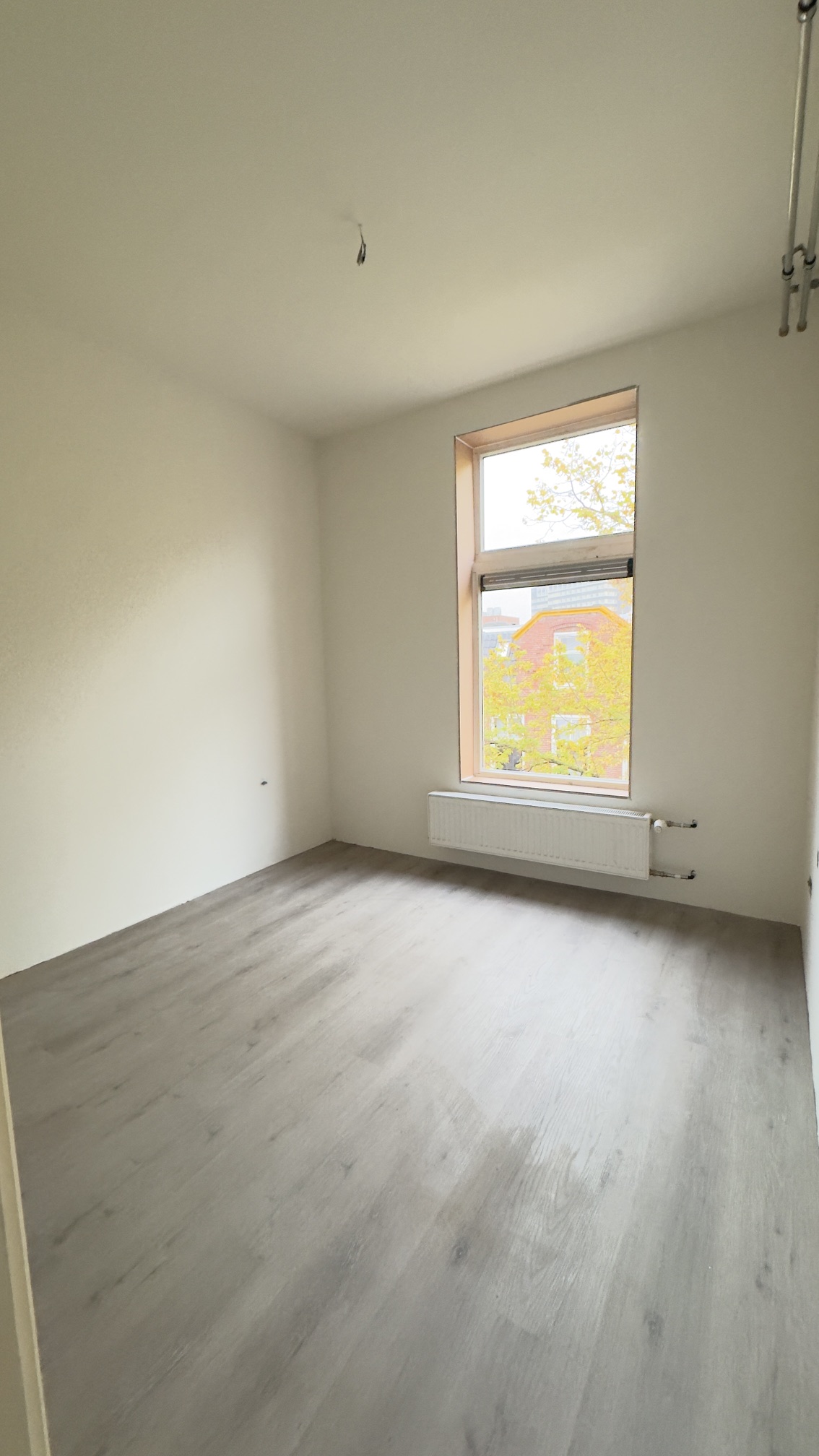 For rent: Groningen