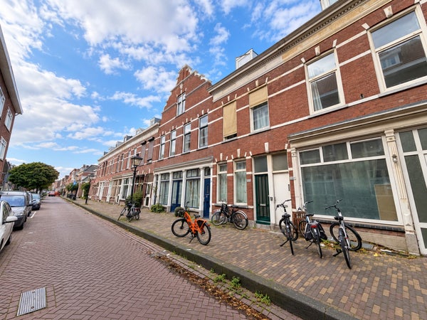 For rent: Rotterdam