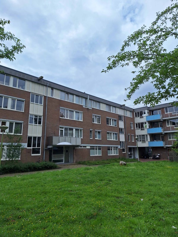 For rent: Amsterdam