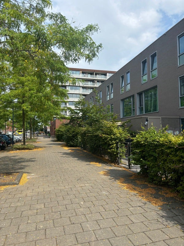 Te huur: Amsterdam