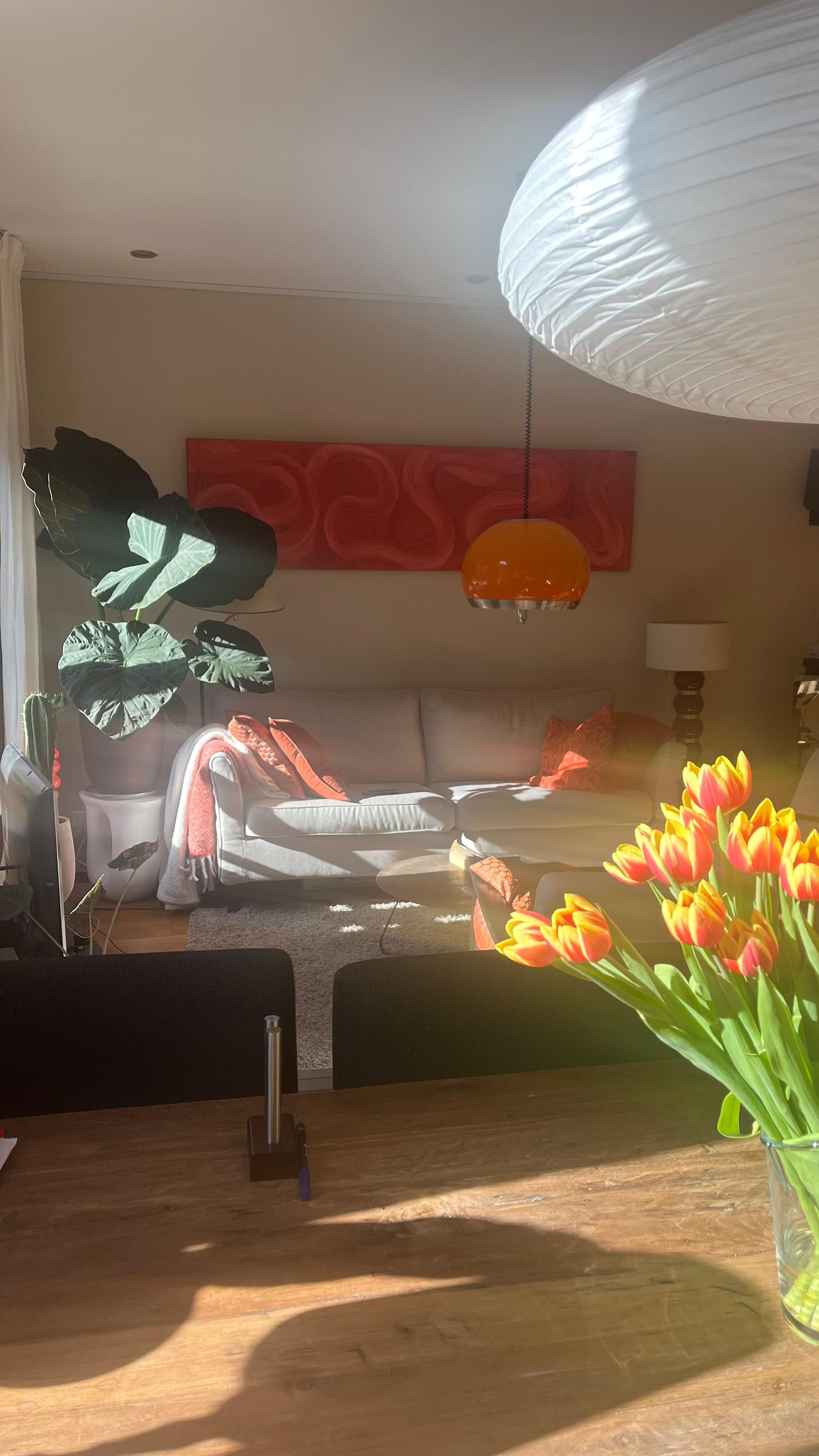For rent: Amsterdam