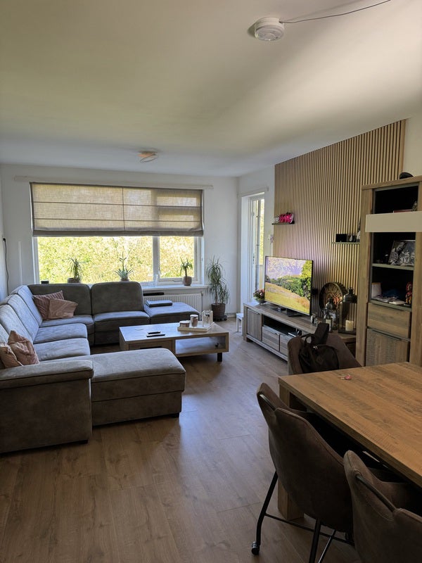 For rent: Groningen