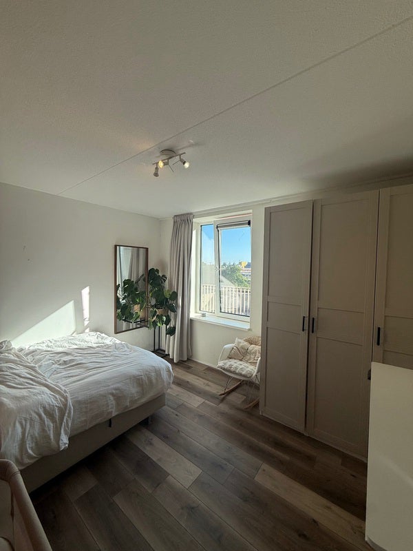 For rent: Groningen
