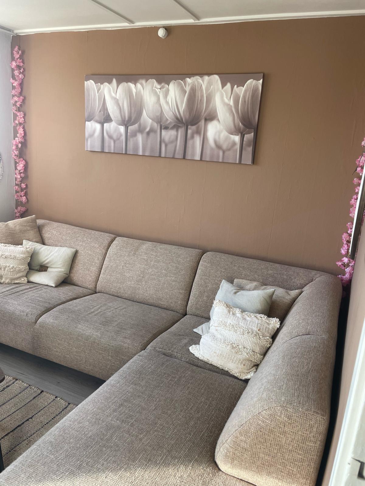 Te huur: Enschede / €589,00 p.m. / 33,00m2