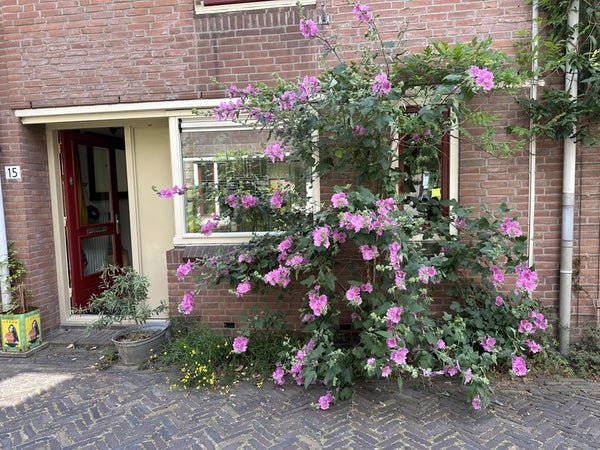 Te huur: Alkmaar / €750,00 p.m. / 107,00m2