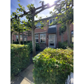 For rent: Marum