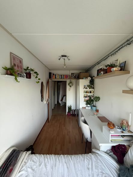 For rent: Amsterdam
