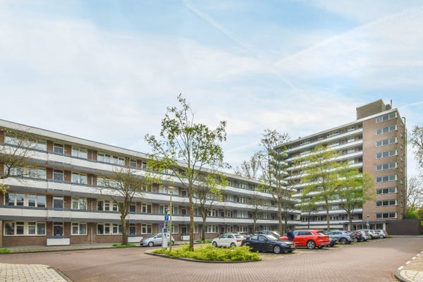 For rent: Amsterdam